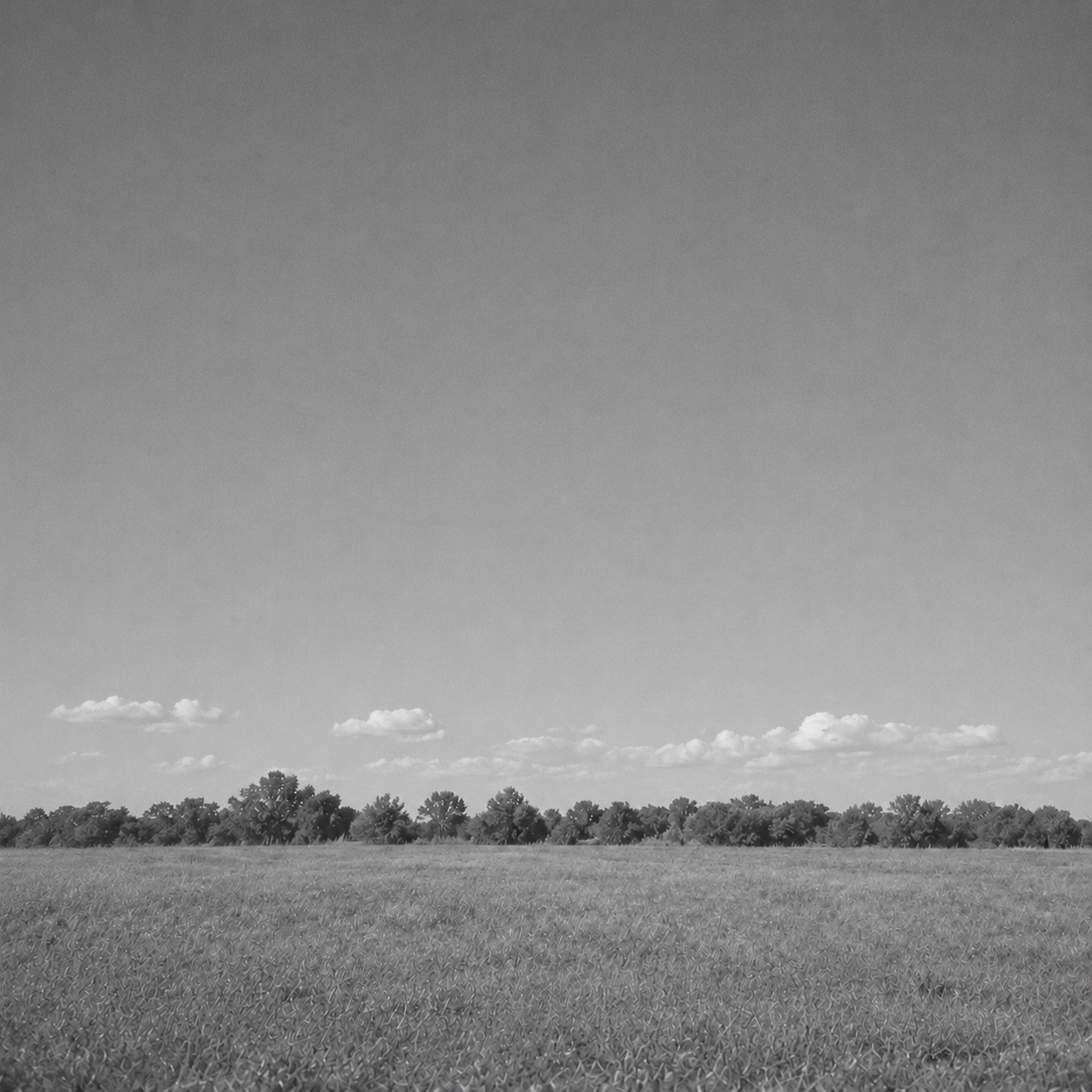 Black & White MOMENTO filter example